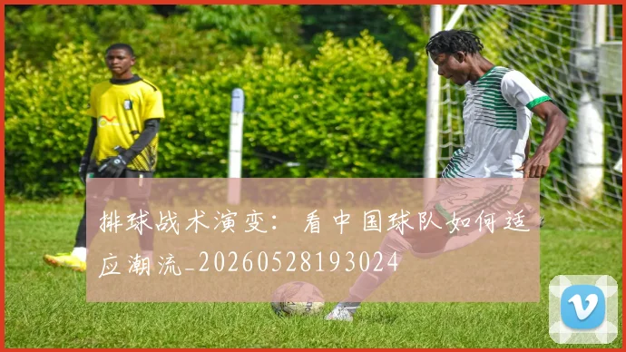 排球战术演变：看中国球队如何适应潮流_20260528193024